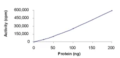 Functional Studies - Recombinant human CDC42 binding protein kinase alpha (GST tag N-Terminus) (AB59979)