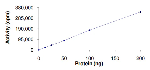 Functional Studies - Recombinant human CDC42 binding protein kinase alpha (GST tag N-Terminus) (AB59979)