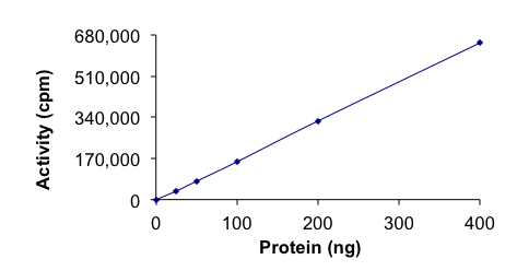 Functional Studies - Recombinant human CDC42BPG protein (Active) (AB268391)