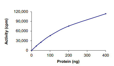 Functional Studies - Recombinant human CDK1 + CCNB1 protein (Tagged) (AB104618), expandable thumbnail