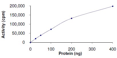 Functional Studies - Recombinant human CDK1 + Cyclin-A1 protein (AB104617), expandable thumbnail