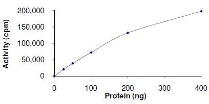 Functional Studies - Recombinant human CDK1 + Cyclin-A1 protein (AB104617)
