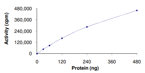 Functional Studies - Recombinant human CDK1 + Cyclin-A1 protein (AB104617), expandable thumbnail
