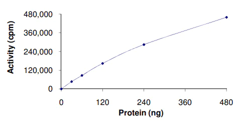 Functional Studies - Recombinant human CDK1 + Cyclin-A1 protein (AB104617)