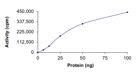 Functional Studies - Recombinant human CDK1 + Cyclin A2 protein (AB64299)