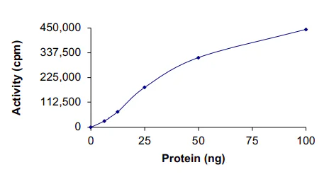 Functional Studies - Recombinant human CDK1 + Cyclin A2 protein (GST tag N-Terminus) (AB64299)