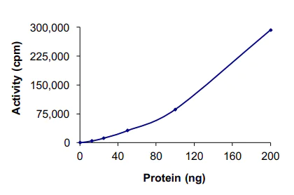 Functional Studies - Recombinant human CDK2 + CCNA1 protein (AB105205)