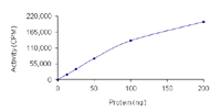 Recombinant human CDK2 + CCNA1 protein