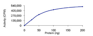 Functional Studies - Recombinant human CDK2 + CCNE1 protein (AB85639)