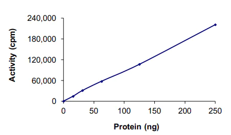 Functional Studies - Recombinant human CDK2 + CCNE1 protein (AB85639)