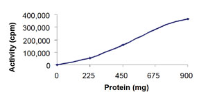 Functional Studies - Recombinant human CDK3 + CCNE1 protein (AB85643), expandable thumbnail