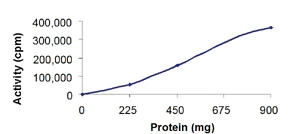 Functional Studies - Recombinant human CDK3 + CCNE1 protein (AB85643)