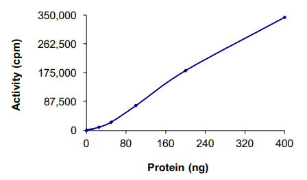 Functional Studies - Recombinant human CDK3 + CCNE1 protein (AB85643), expandable thumbnail