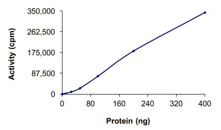 Functional Studies - Recombinant human CDK3 + CCNE1 protein (AB85643)