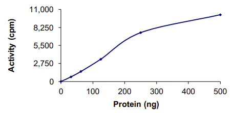 Functional Studies - Recombinant human CDK4 + CCND3 protein (AB85646)