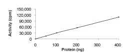 Functional Studies - Recombinant human Cdk4 + Cyclin D1 protein (GST tag N-Terminus) (AB55695)