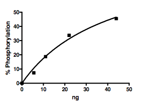 Functional Studies - Recombinant human CDK5 + p25 protein (AB196048), expandable thumbnail