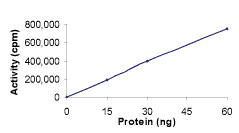 Functional Studies - Recombinant human CDK5 + p25 protein (AB60761), expandable thumbnail