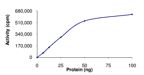 Functional Studies - Recombinant human CDK5 + p25 protein (AB60761), expandable thumbnail