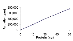 Functional Studies - Recombinant human CDK5 + p25 protein (GST tag N-Terminus) (AB60761)