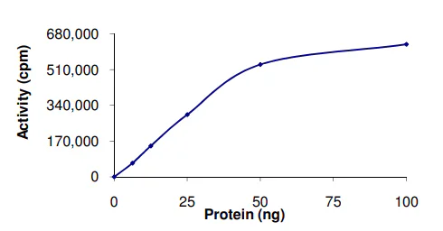 Functional Studies - Recombinant human CDK5 + p25 protein (GST tag N-Terminus) (AB60761)