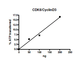 Functional Studies - Recombinant human CDK6 + CCND3 protein (His tag N-Terminus) (AB271462)