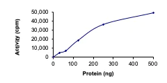 Functional Studies - Recombinant human CDK7 + Cyclin H + MNAT1 protein (AB64303)
