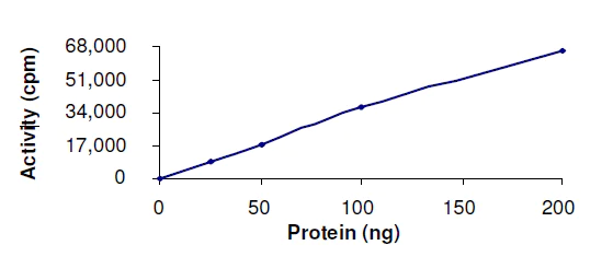 Functional Studies - Recombinant human CDK7 + Cyclin H + MNAT1 protein (AB64303)