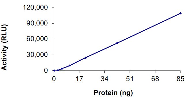 Recombinant human Cdk7 + Cyclin H/p34 protein (Active)