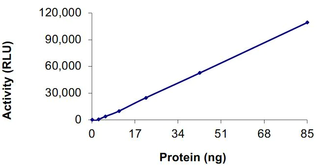 Functional Studies - Recombinant human Cdk7 + Cyclin H/p34 protein (Active) (AB268398)