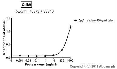 Sandwich ELISA - Recombinant Human Cdk9 protein (GST tag N-Terminus) (AB85603)