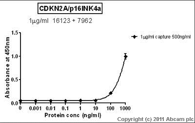 Sandwich ELISA - Recombinant Human CDKN2A/p16INK4a protein (AB84075), expandable thumbnail