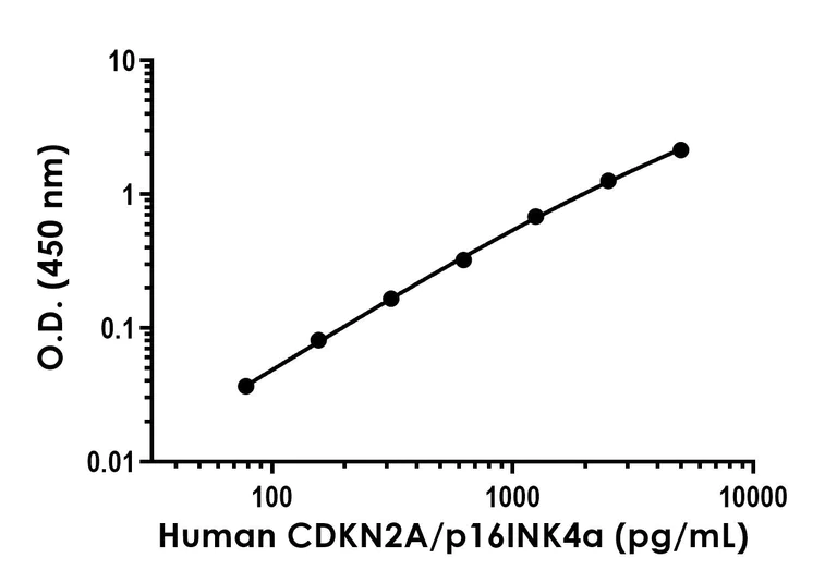 Sandwich ELISA - Recombinant Human CDKN2A/p16INK4a Protein Standard (His tag) (AB316386)
