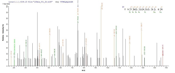 Mass Spectrometry - Recombinant Human CDR2 protein (His tag) (AB235677)