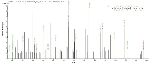 Mass Spectrometry - Recombinant Human CDR2 protein (His tag) (AB235677)