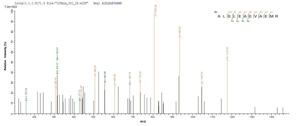 Mass Spectrometry - Recombinant Human CDR2 protein (His tag) (AB235677)