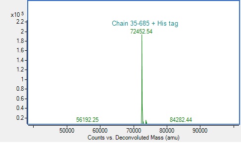 Mass Spectrometry - Recombinant Human CEACAM5/CEA Protein (His-tag) (AB317870), expandable thumbnail