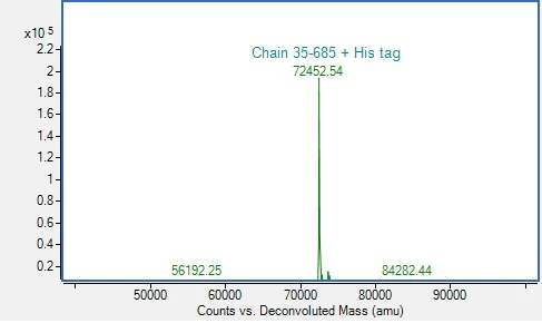 Mass Spectrometry - Recombinant Human CEACAM5/CEA Protein (His-tag) (AB317870)