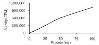 Recombinant human cGKI protein