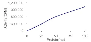 Functional Studies - Recombinant human cGKI protein (AB96403)