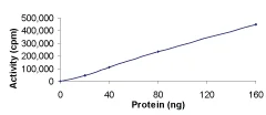 Functional Studies - Recombinant human Chk1 protein (AB60762)