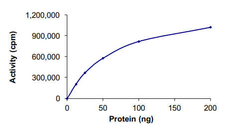 Recombinant human Chk1 protein