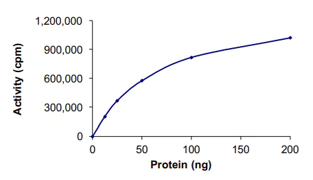 Functional Studies - Recombinant human Chk1 protein (AB60762)