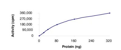 Functional Studies - Recombinant human Chk1 protein (AB69918)