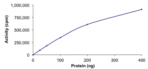 Functional Studies - Recombinant human Chk1 protein (AB69918)