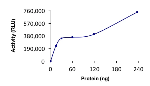 Functional Studies - Recombinant human cIAP2 protein (Active) (AB268366)