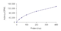 Functional Studies - Recombinant human CK1 epsilon protein (AB104024)