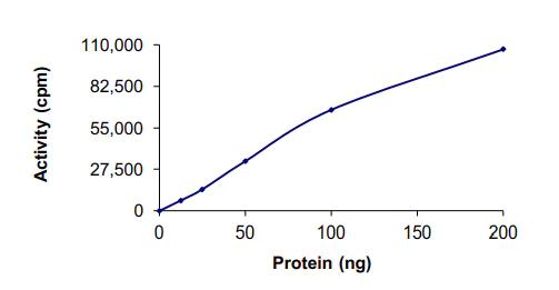 Functional Studies - Recombinant human CK1 epsilon protein (AB104024)