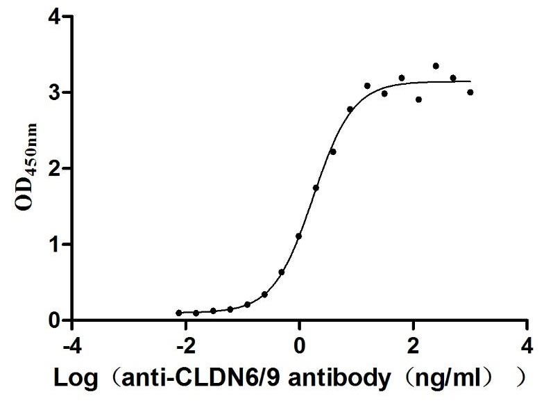 Functional Studies - Recombinant human Claudin 6  protein - Active (His tag) (AB314532), expandable thumbnail
