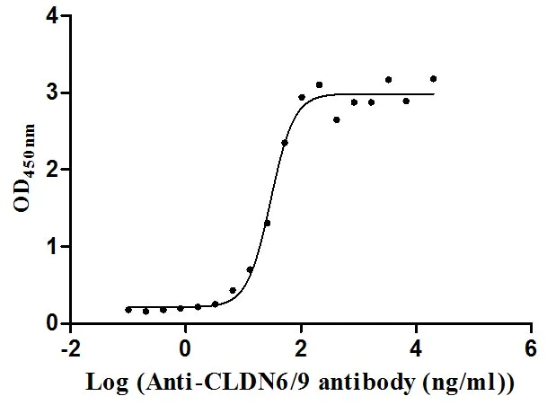 Functional Studies - Recombinant human Claudin 9 protein - Active (His tag) (AB314533)